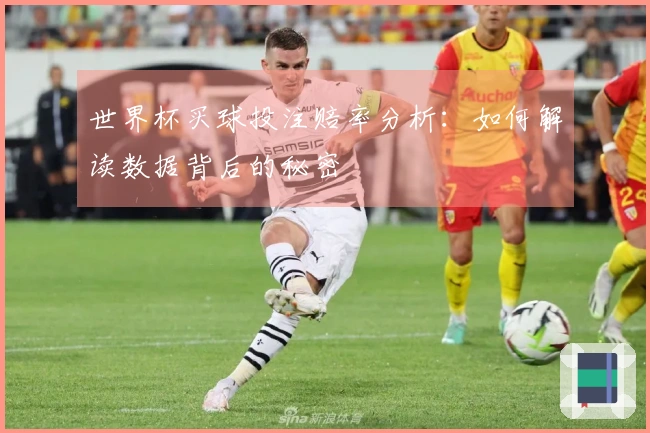 世界杯买球投注赔率分析：如何解读数据背后的秘密