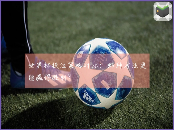 世界杯投注策略对比：哪种方法更能赢得胜利？