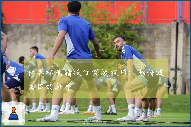 世界杯竞猜投注实战技巧：如何提高你的胜率