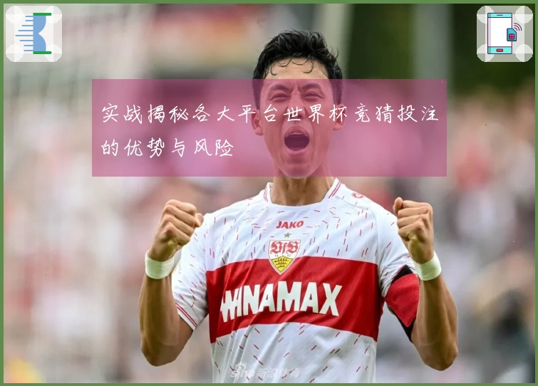 实战揭秘各大平台世界杯竞猜投注的优势与风险