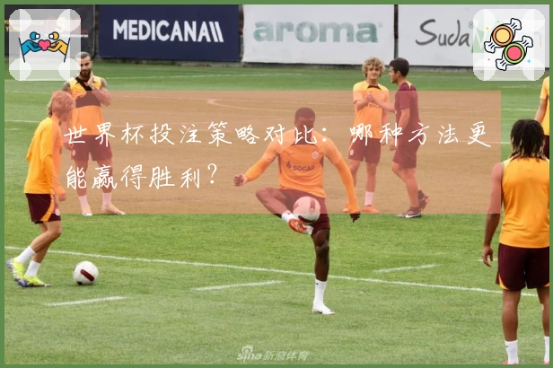 世界杯投注策略对比：哪种方法更能赢得胜利？