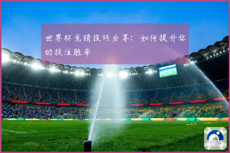 世界杯竞猜技巧分享：如何提升你的投注胜率