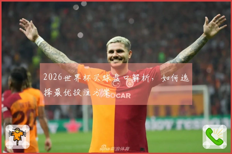 2026世界杯买球盘口解析，如何选择最优投注方案