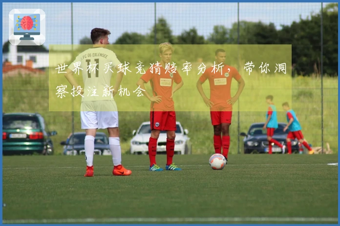世界杯买球竞猜赔率分析，带你洞察投注新机会