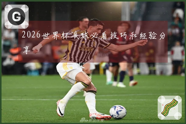 2026世界杯滚球必看技巧和经验分享