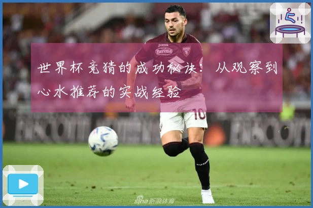 世界杯竞猜的成功秘诀：从观察到心水推荐的实战经验