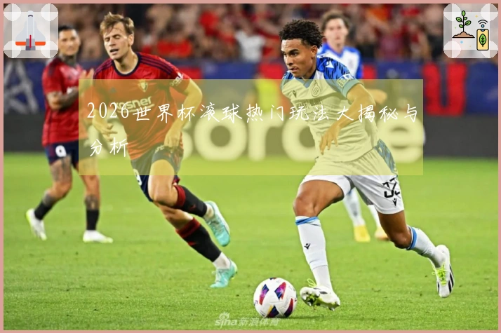 2026世界杯滚球热门玩法大揭秘与分析