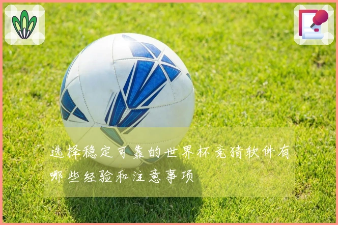 选择稳定可靠的世界杯竞猜软件有哪些经验和注意事项