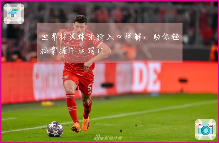 世界杯买球竞猜入口详解，助你轻松掌握下注窍门