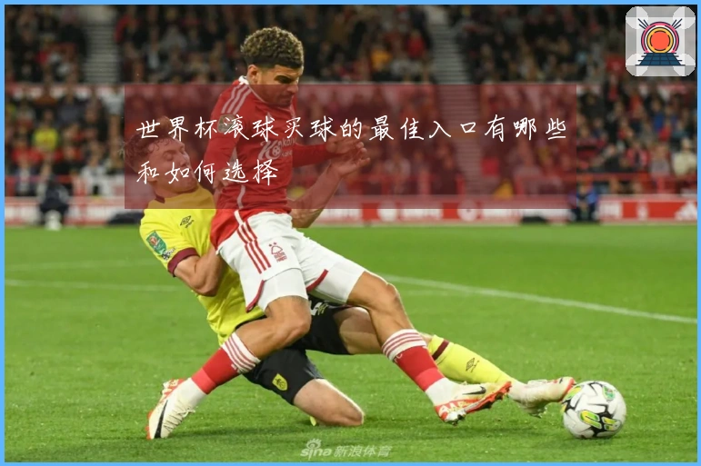 世界杯滚球买球的最佳入口有哪些和如何选择