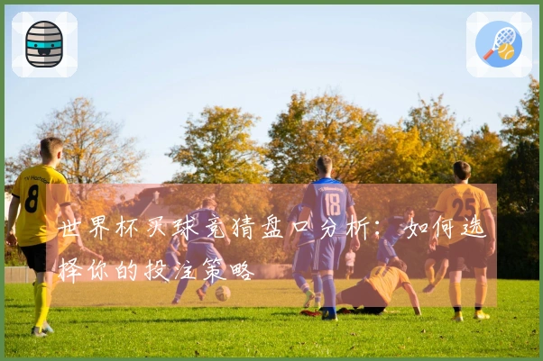 世界杯买球竞猜盘口分析：如何选择你的投注策略