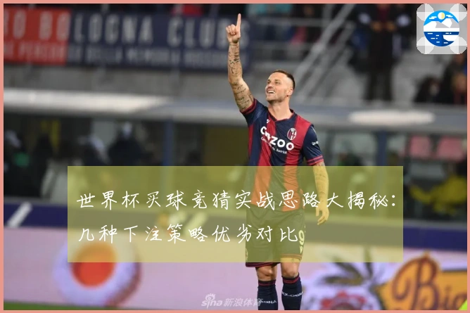 世界杯买球竞猜实战思路大揭秘：几种下注策略优劣对比
