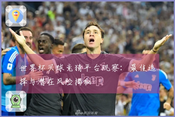 世界杯买球竞猜平台观察：最佳选择与潜在风险揭秘