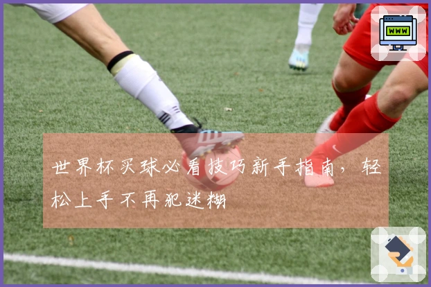 世界杯买球必看技巧新手指南，轻松上手不再犯迷糊