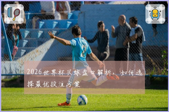 2026世界杯买球盘口解析，如何选择最优投注方案