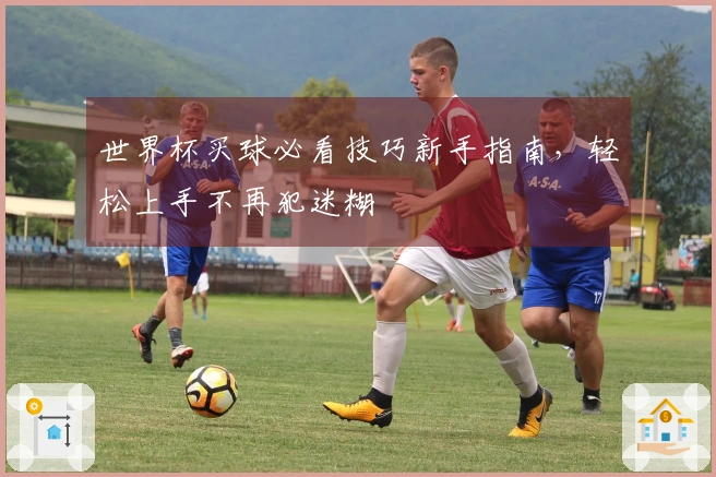 世界杯买球必看技巧新手指南，轻松上手不再犯迷糊