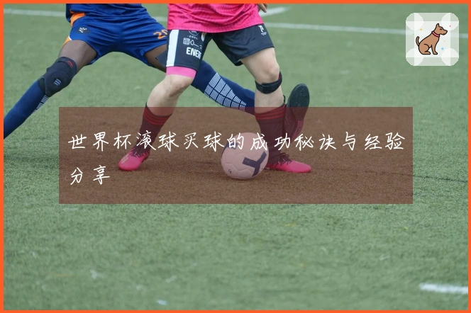 世界杯滚球买球的成功秘诀与经验分享