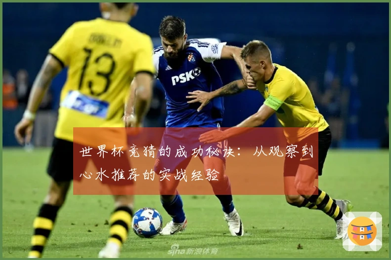 世界杯竞猜的成功秘诀：从观察到心水推荐的实战经验