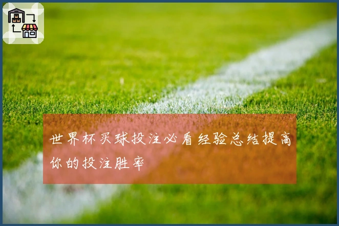 世界杯买球投注必看经验总结提高你的投注胜率
