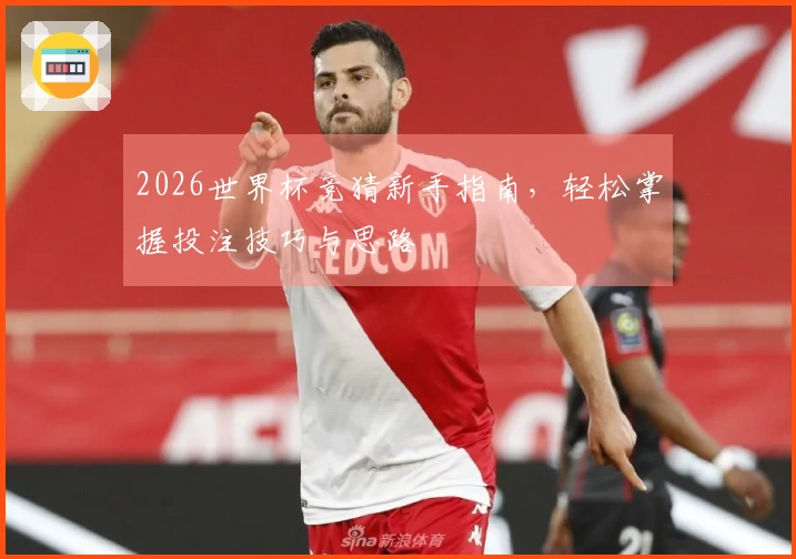 2026世界杯竞猜新手指南，轻松掌握投注技巧与思路